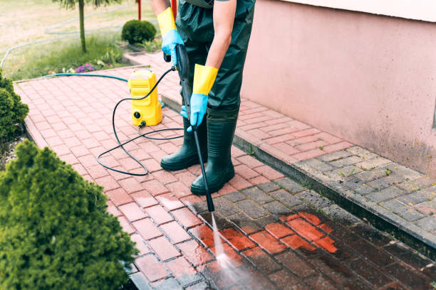 Best Solar Panel Cleaning  in Pleasant Ridge, MI