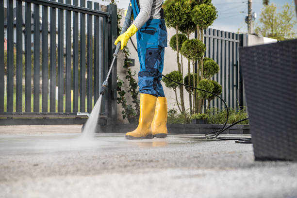 Best Patio and Deck Pressure Washing  in Pleasant Ridge, MI